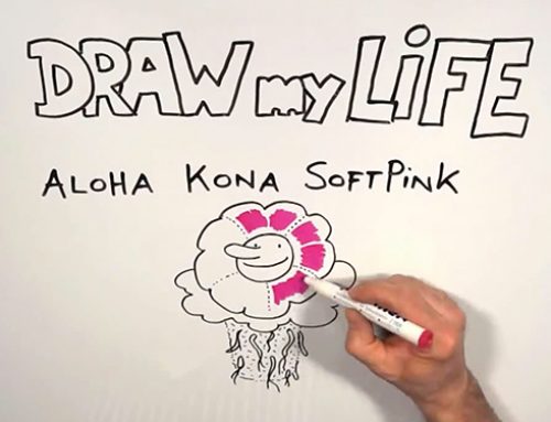 Dümmen, Aloha Kona – Draw my Life